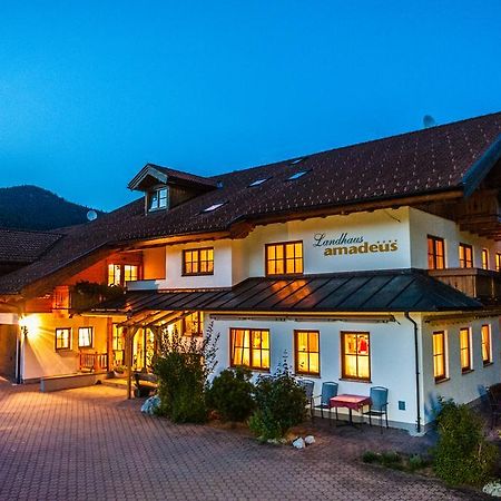 Resort Amadeus-Landhaus Amadeus Гребмінг Екстер'єр фото